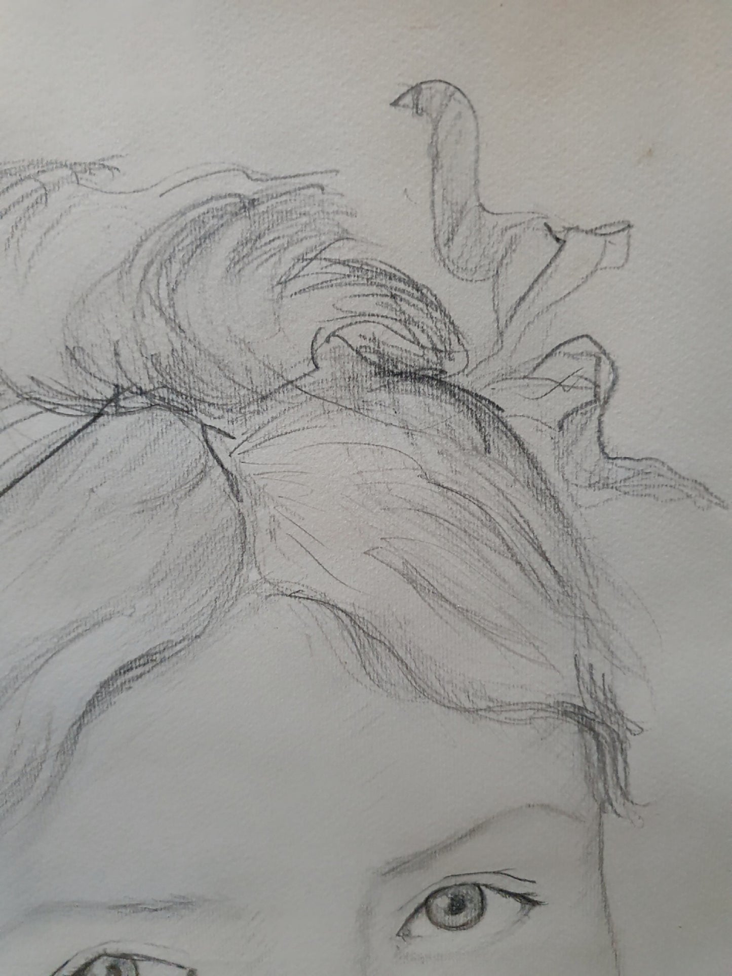 Female Portrait In Pencil