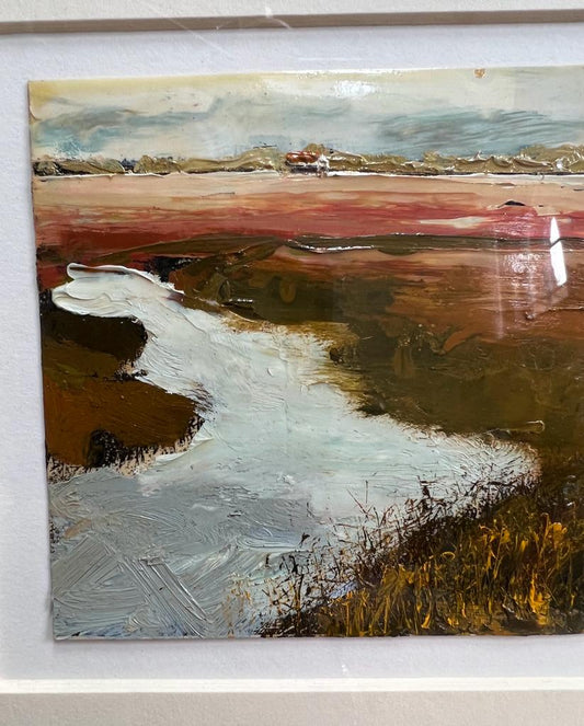 Salt water Marsh Cape Cod USA. c1970. by Arthur Cohen