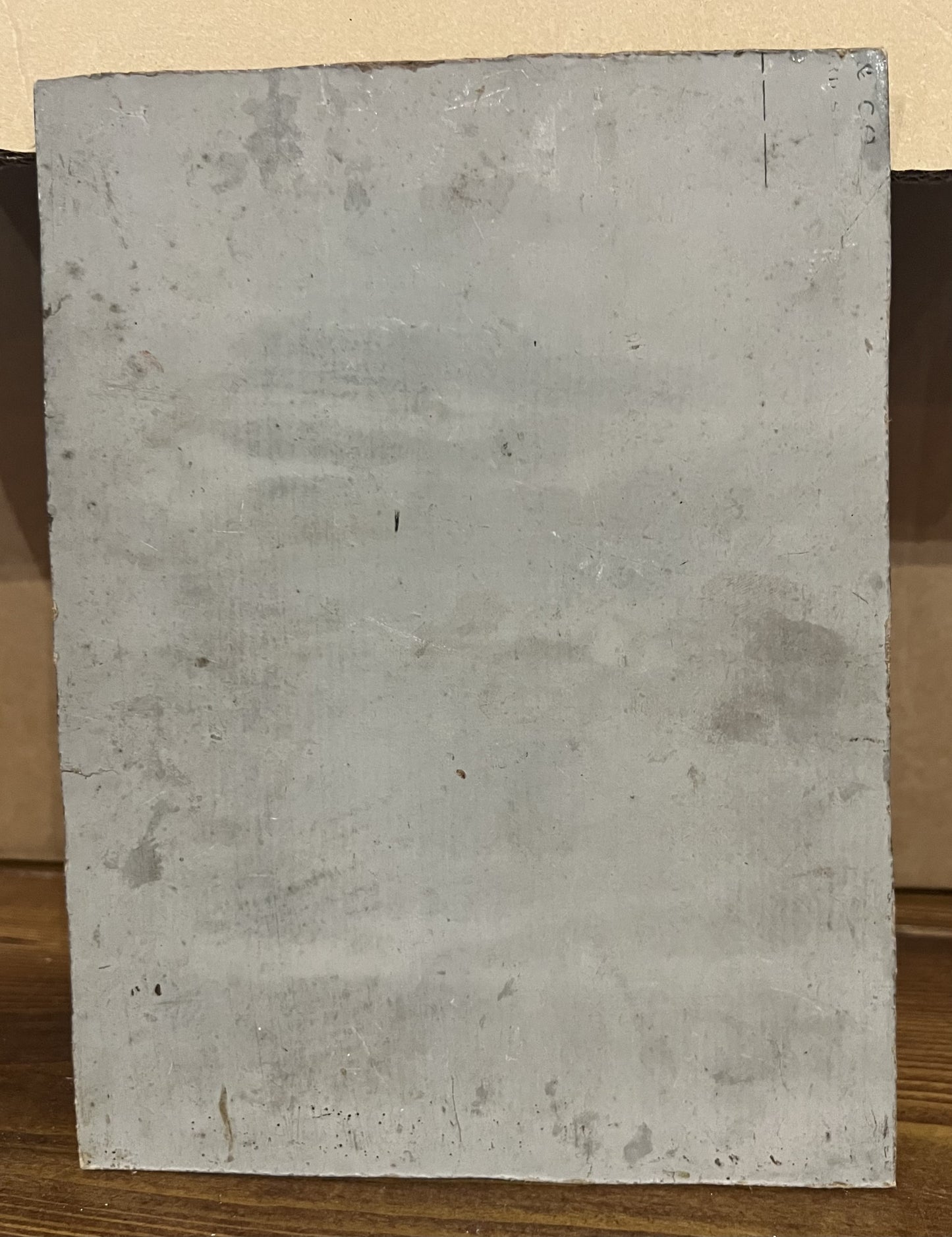 1890 OLIO SU TAVOLA FIORE E FARFALLA MONARCA