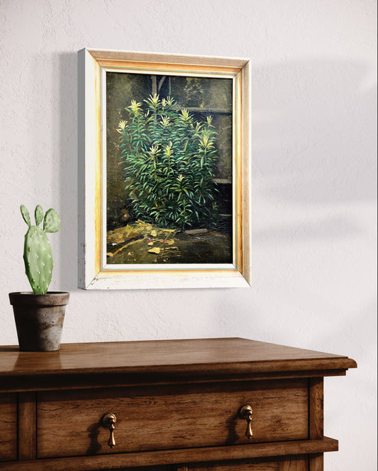 Stunning Mid Century Succulent Oil on Board