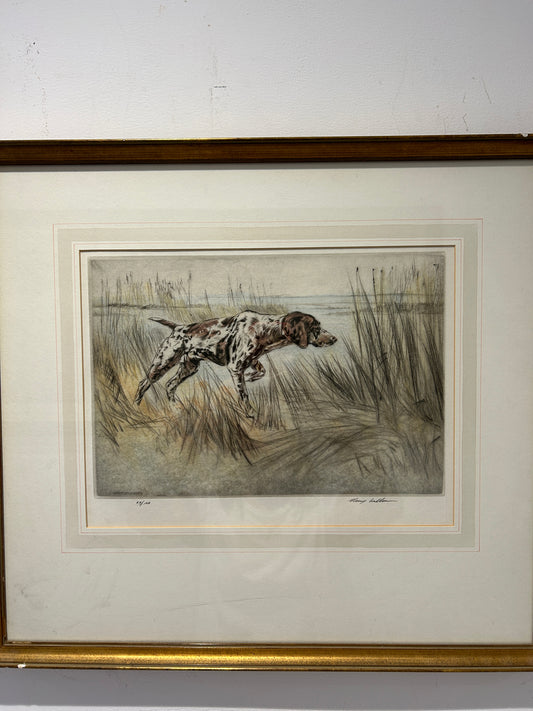 Acquaforte "Pointer" Gun Dog, edizione limitata firmata degli anni '60 da Henry Wilkinson 1921 - 2011