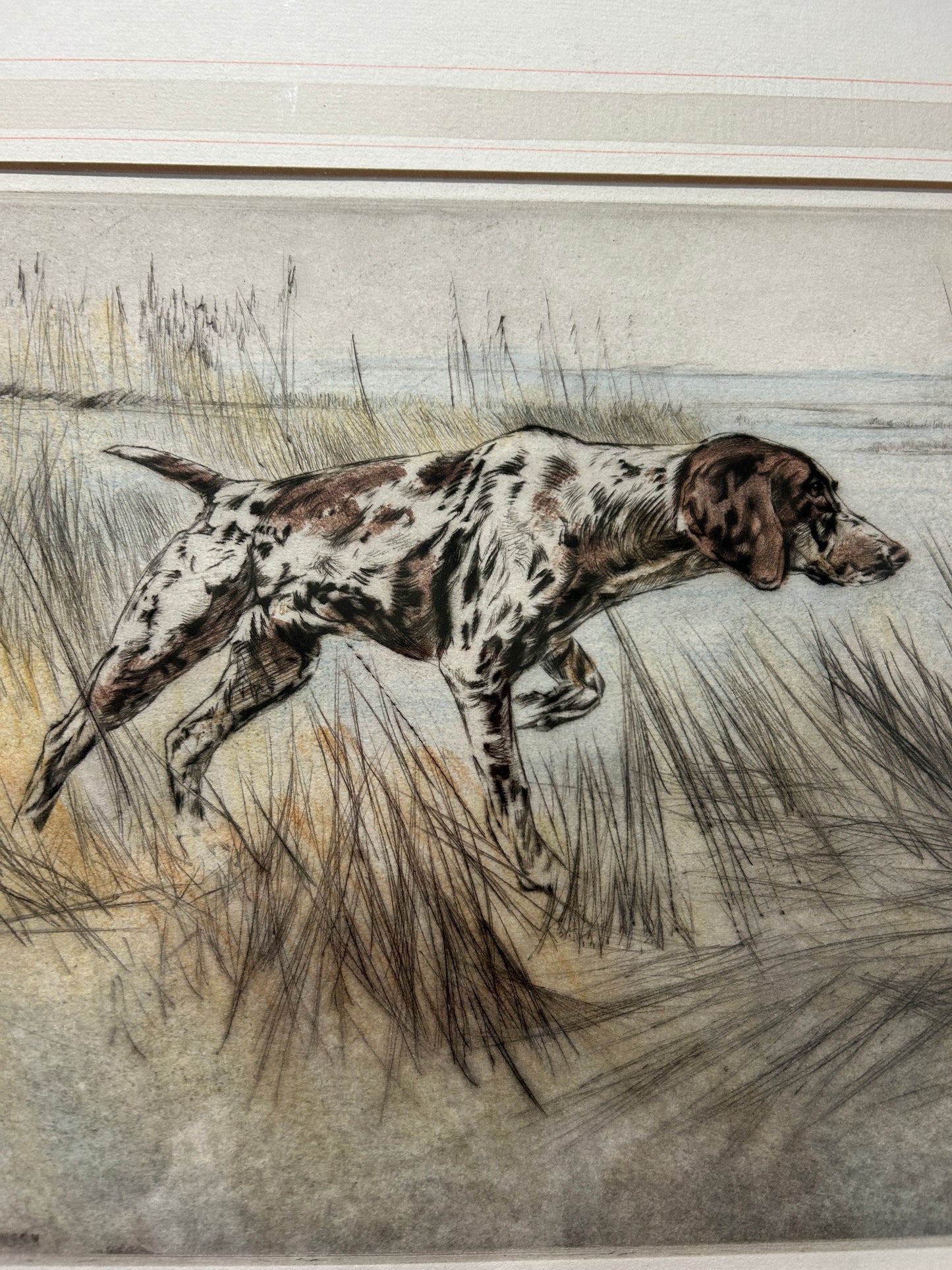 C1960s Signed Ltd edition Etching “Pointer” Gun Dog by Henry Wilkinson 1921 - 2011