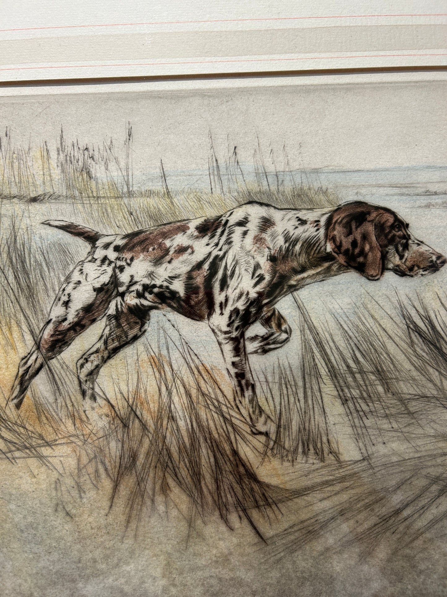 C1960s Signed Ltd edition Etching “Pointer” Gun Dog by Henry Wilkinson 1921 - 2011