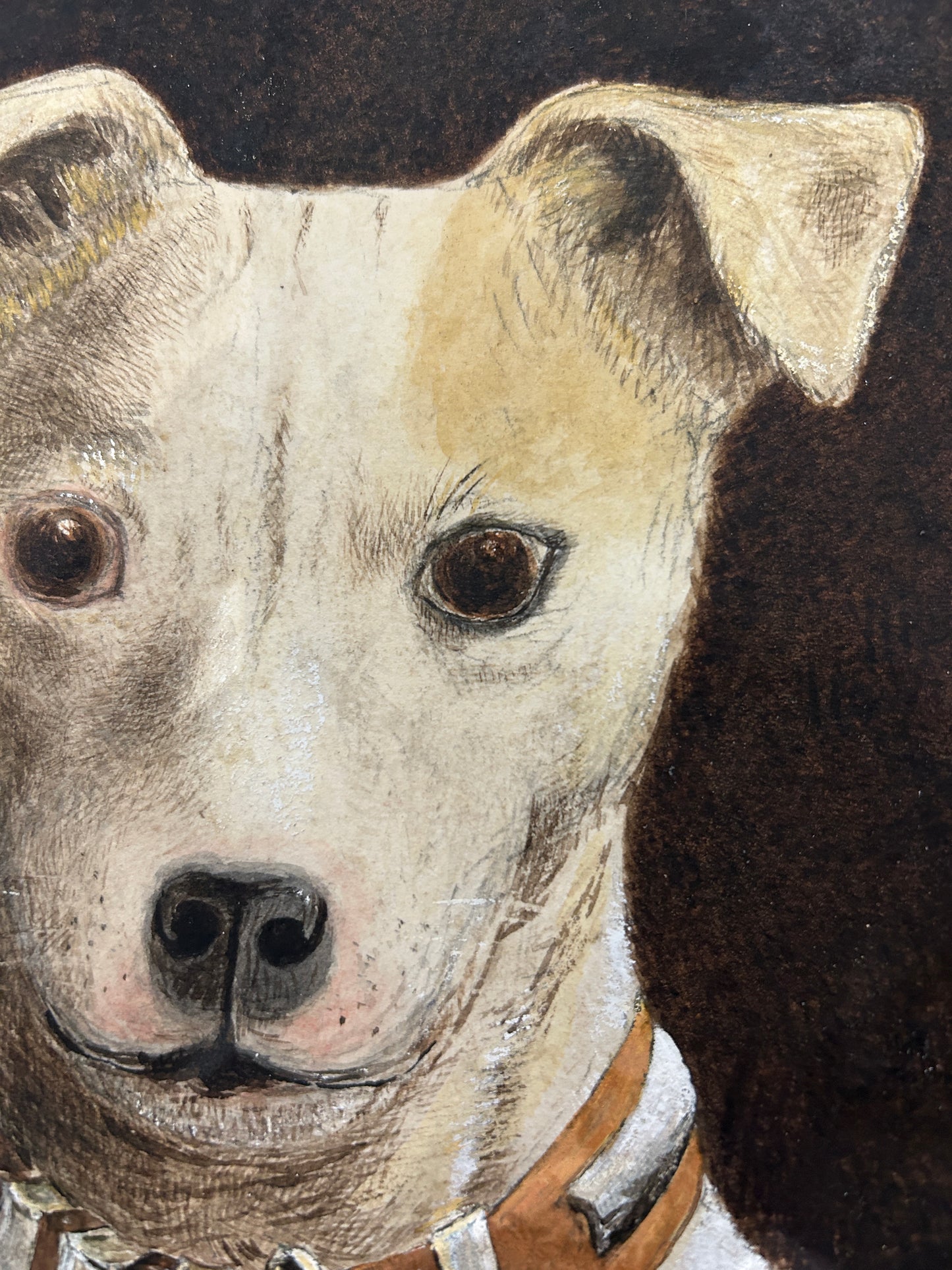 Victorian dog portrait of a terrier. Incredible quality and in very good condition.