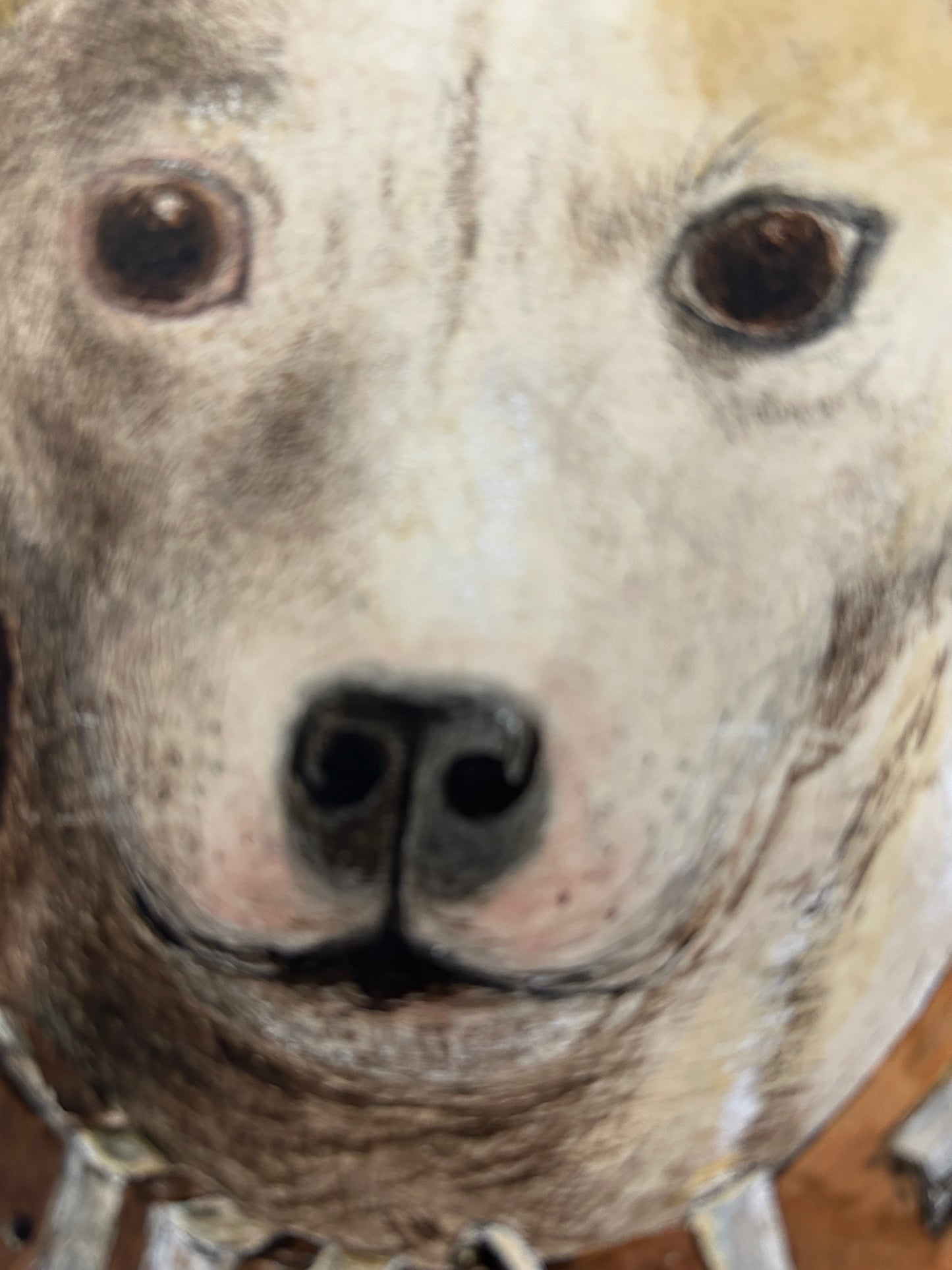 Victorian dog portrait of a terrier. Incredible quality and in very good condition.