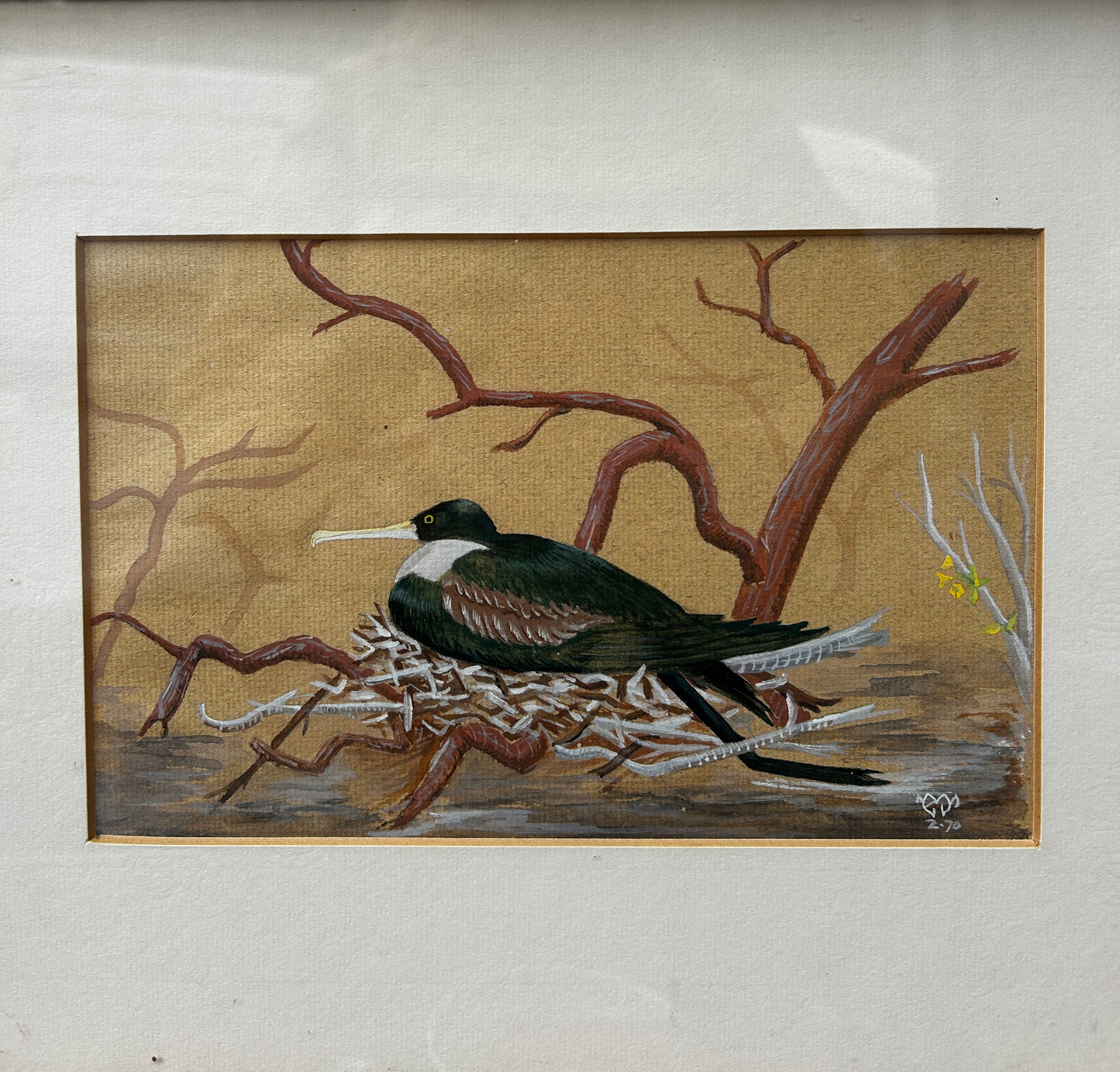 Nesting Seabird Watercolour 1970's