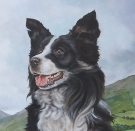 Oil on Canvas "Border Collie"  G. PLANT (XX)