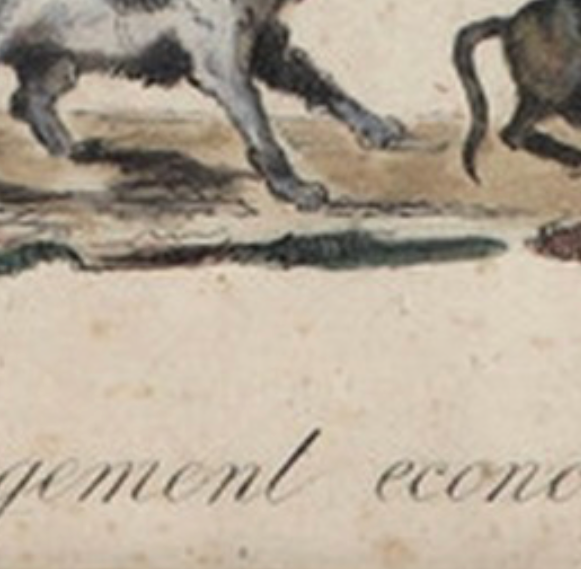 French Watercolour Caricture J J Grandville 1803 - 1847