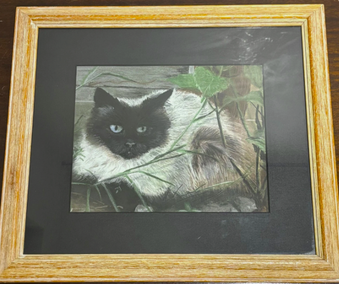 Original Siamese Cat Pastel Painting 1970s Framed