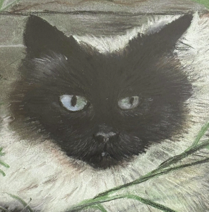 Original Siamese Cat Pastel Painting 1970s Framed