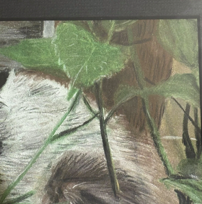 Original Siamese Cat Pastel Painting 1970s Framed
