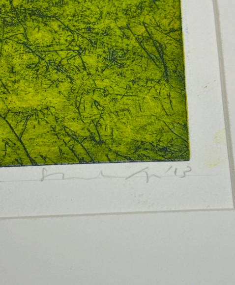 Original Forest Lithography Green and Blue Signed