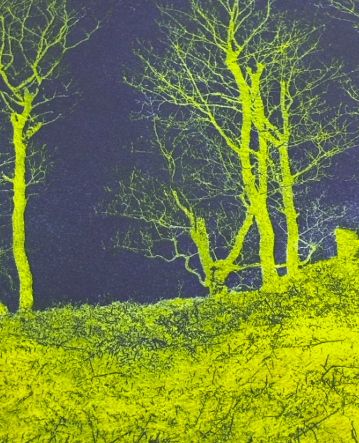 Original Forest Lithography Green and Blue Signed