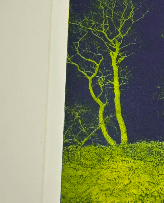 Original Forest Lithography Green and Blue Signed
