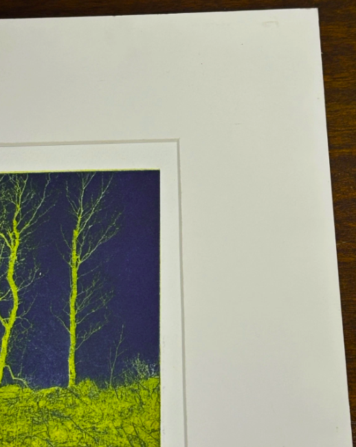 Original Forest Lithography Green and Blue Signed