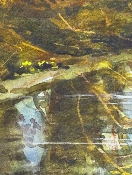 Ann Whalley Secret Waters Autumn Forest Stream