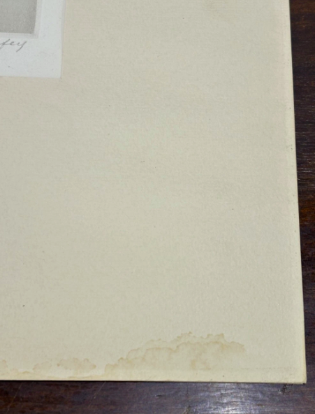 Original Etching Dog Alsatian Portrait Signed H. Geoffrey