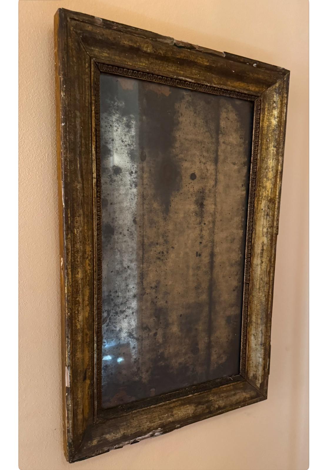 Continental Early 19th Century Mirror Gilt Frame and Original Plate