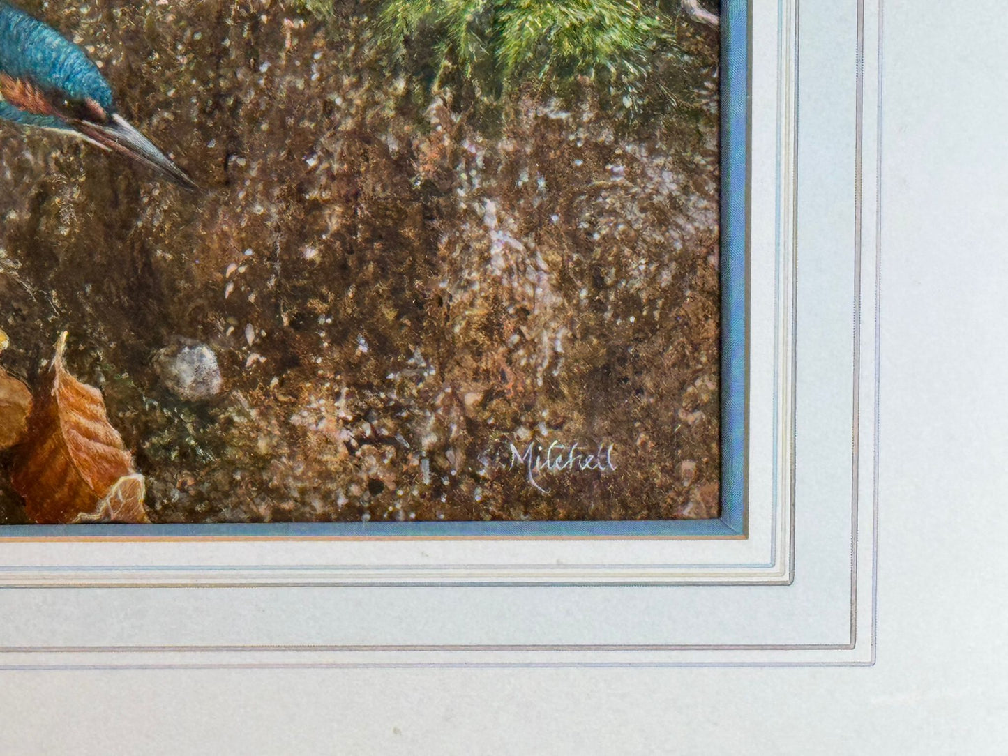 S MITCHELL, XX ORIGINAL OIL ON BOARD KINGFISHER BIRD DECORATIVE FRAMED SIGNED