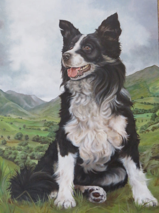 Oil on Canvas "Border Collie"  G. PLANT (XX)