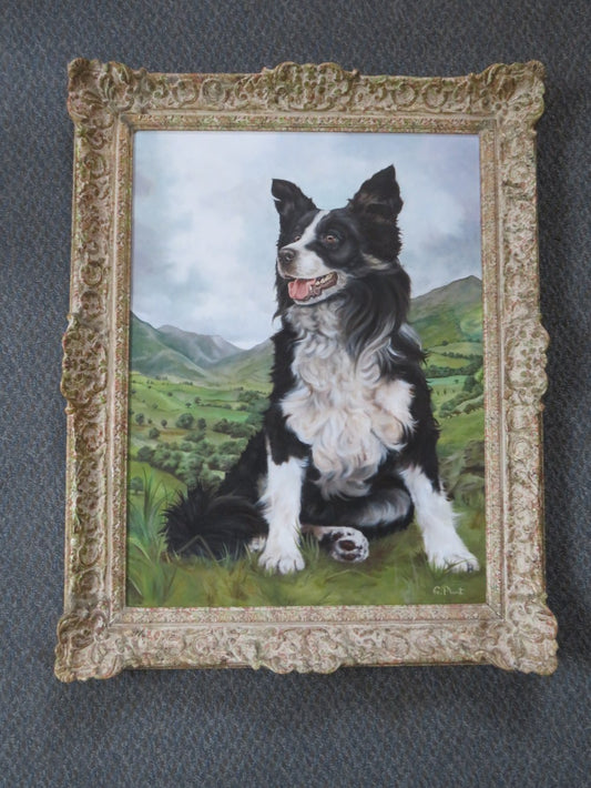 Oil on Canvas "Border Collie"  G. PLANT (XX)