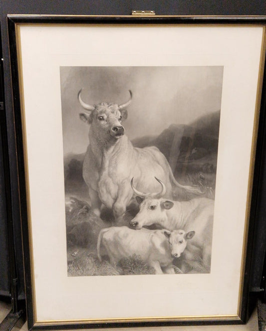 SIR EDWIN LANDSEER PRA. Wild Cattle at Chillingham 1869 etching signed by THOMAS LANDSEER