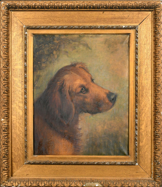 SUPERBO RITRATTO DI CANE A OLIO SU TELA DEL XIX SECOLO IN CORNICE FINE WATT