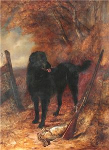 ROBERT NIGHTINGALE 1815 - 1895 - A GUN DOG WITH RIFLE AND RABBIT - OIL ON CANVAS 1873