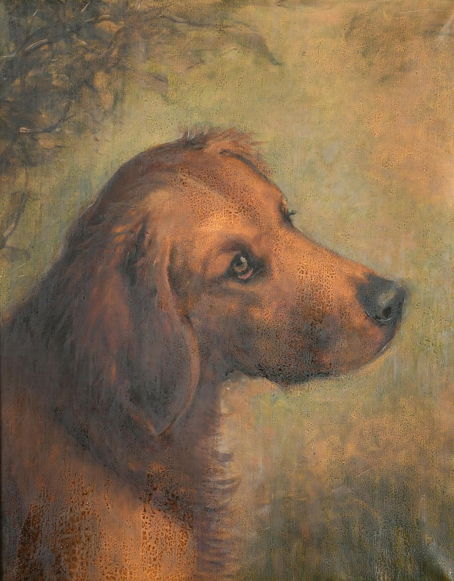 SUPERBO RITRATTO DI CANE A OLIO SU TELA DEL XIX SECOLO IN CORNICE FINE WATT