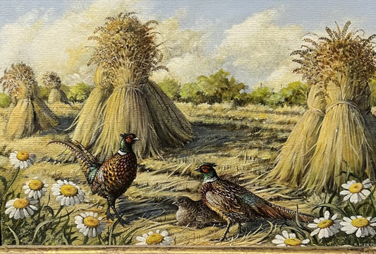 Olio su tela “Fagiano nel campo” degli anni ’70