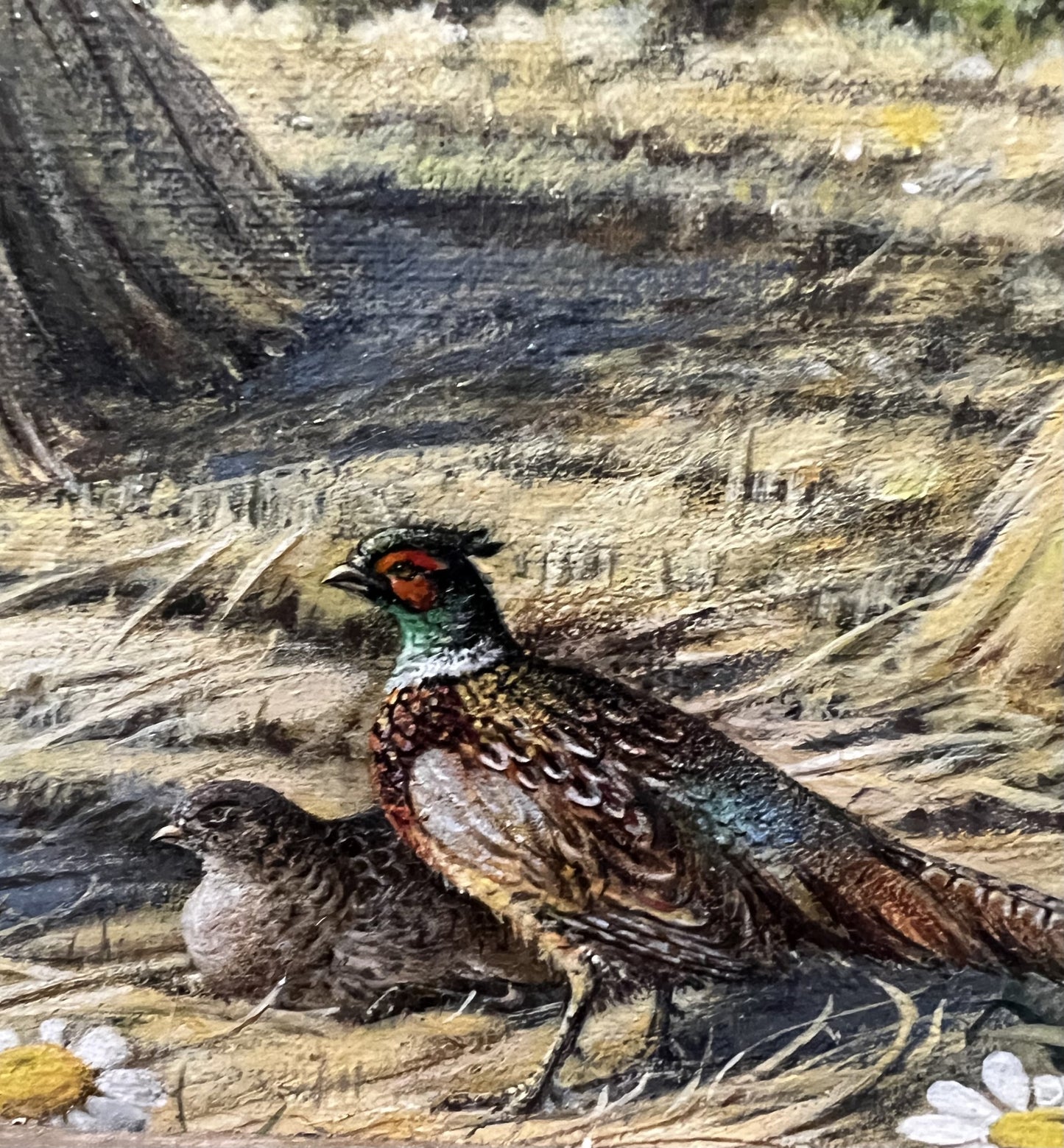 C1970s Oil on Canvas “Pheasant in Field”