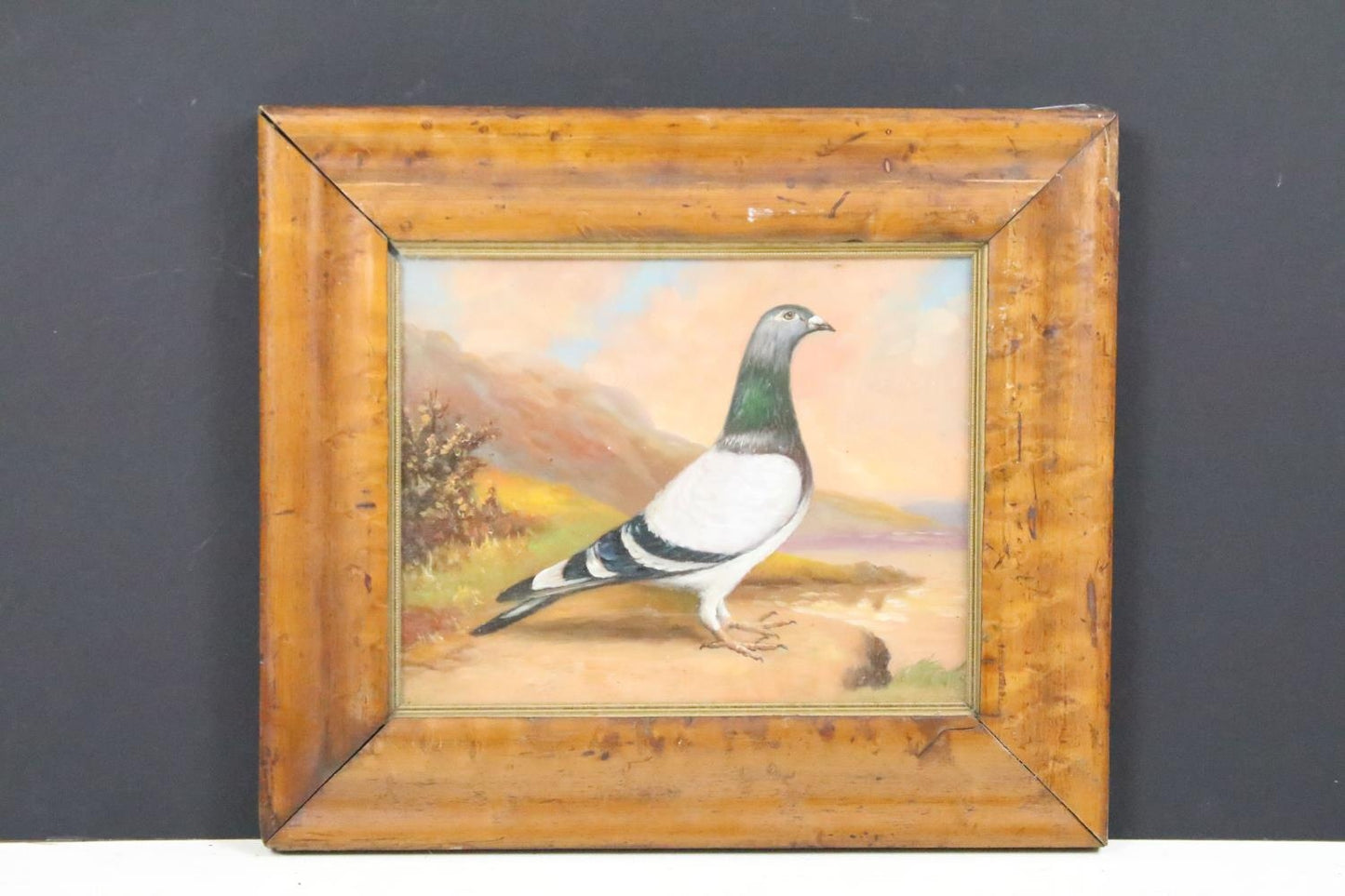 LATE 19TH/EARLY 20TH CENTURY OIL ON BOARD STUDY RACING PIGEON