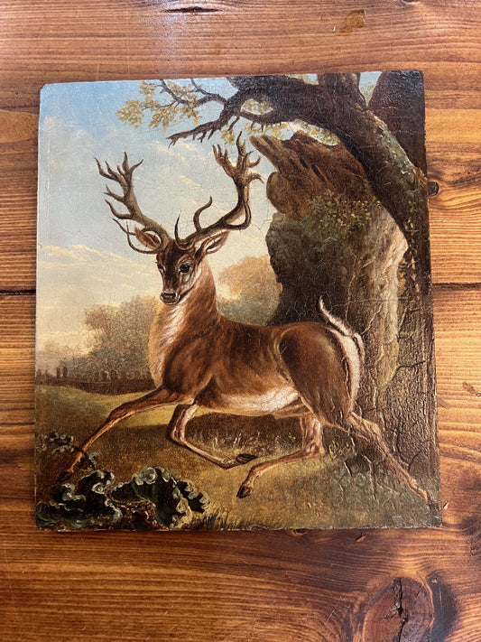C1800 OLIO SU PANNELLO BISELLATO "CERVO NELLA FORESTA"