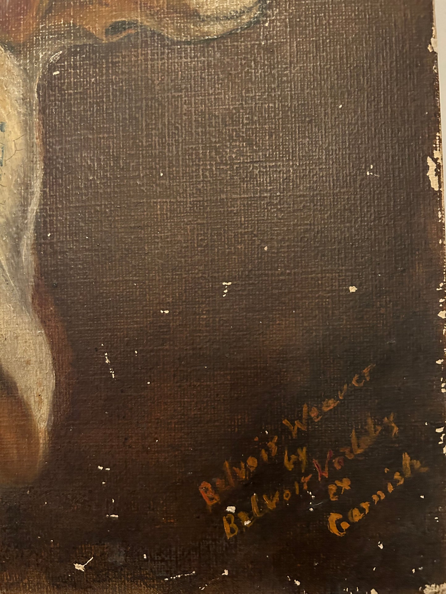 Profilo di un Beagle vittoriano, olio su tavola