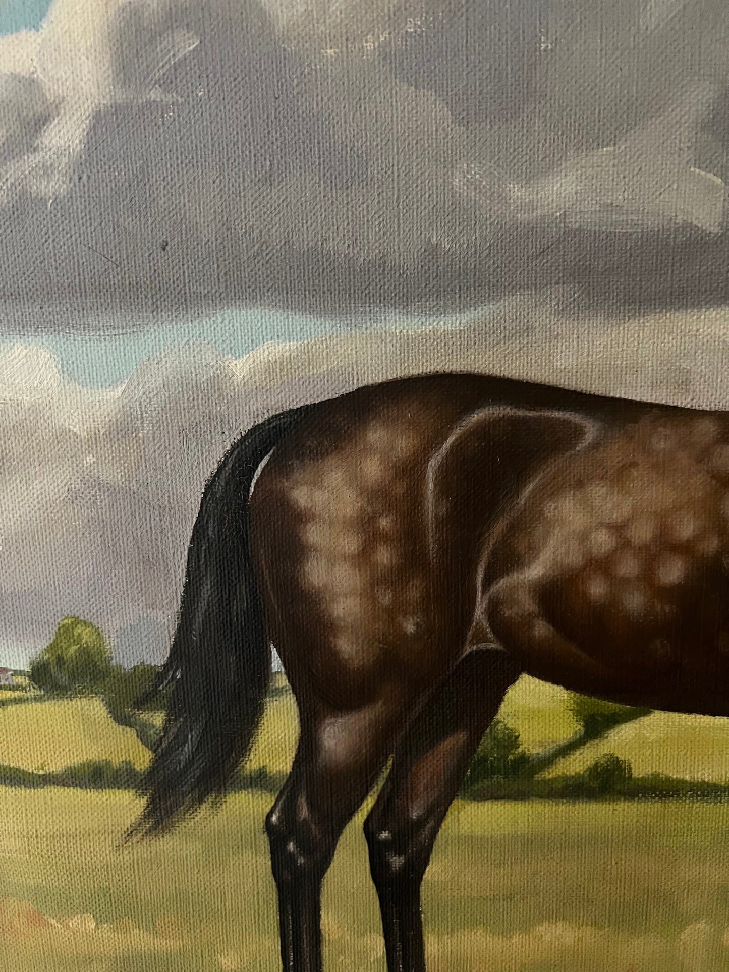 Una coppia di ritratti di cavalli della metà del secolo