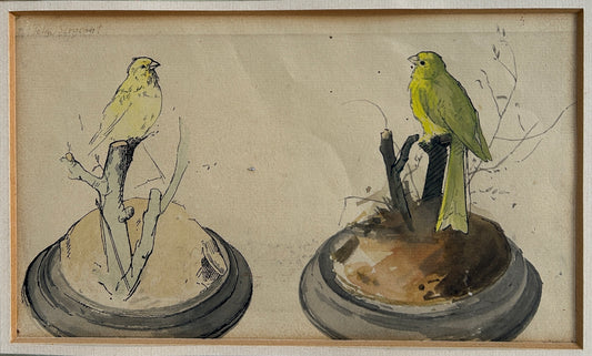 Parakeets watercolour by John Sergeant (1937-2010)
