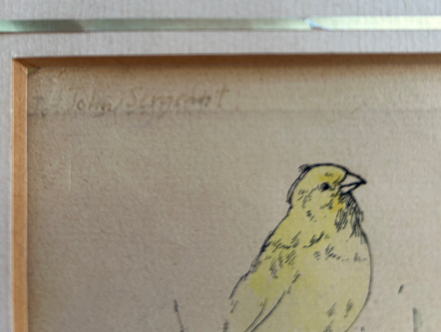 Parakeets watercolour by John Sergeant (1937-2010)