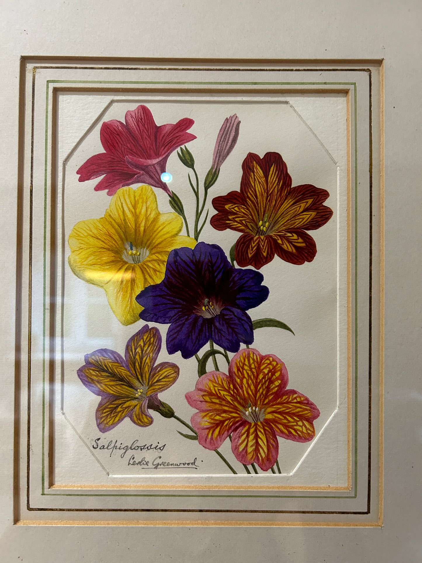 Salpiglossis by Leslie Greenwood Original Watercolour
