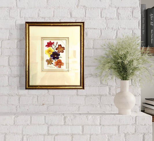 Salpiglossis by Leslie Greenwood Original Watercolour