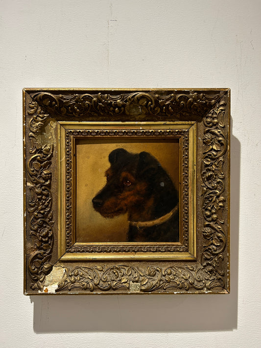Ritratto di cane Welsh Terrier C1850 Olio su tavola