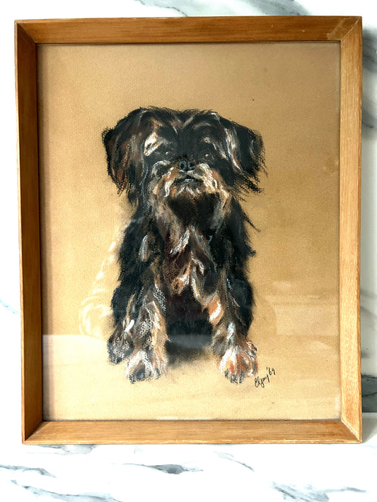 Mid century Portrait of a Yorkshire Terrier