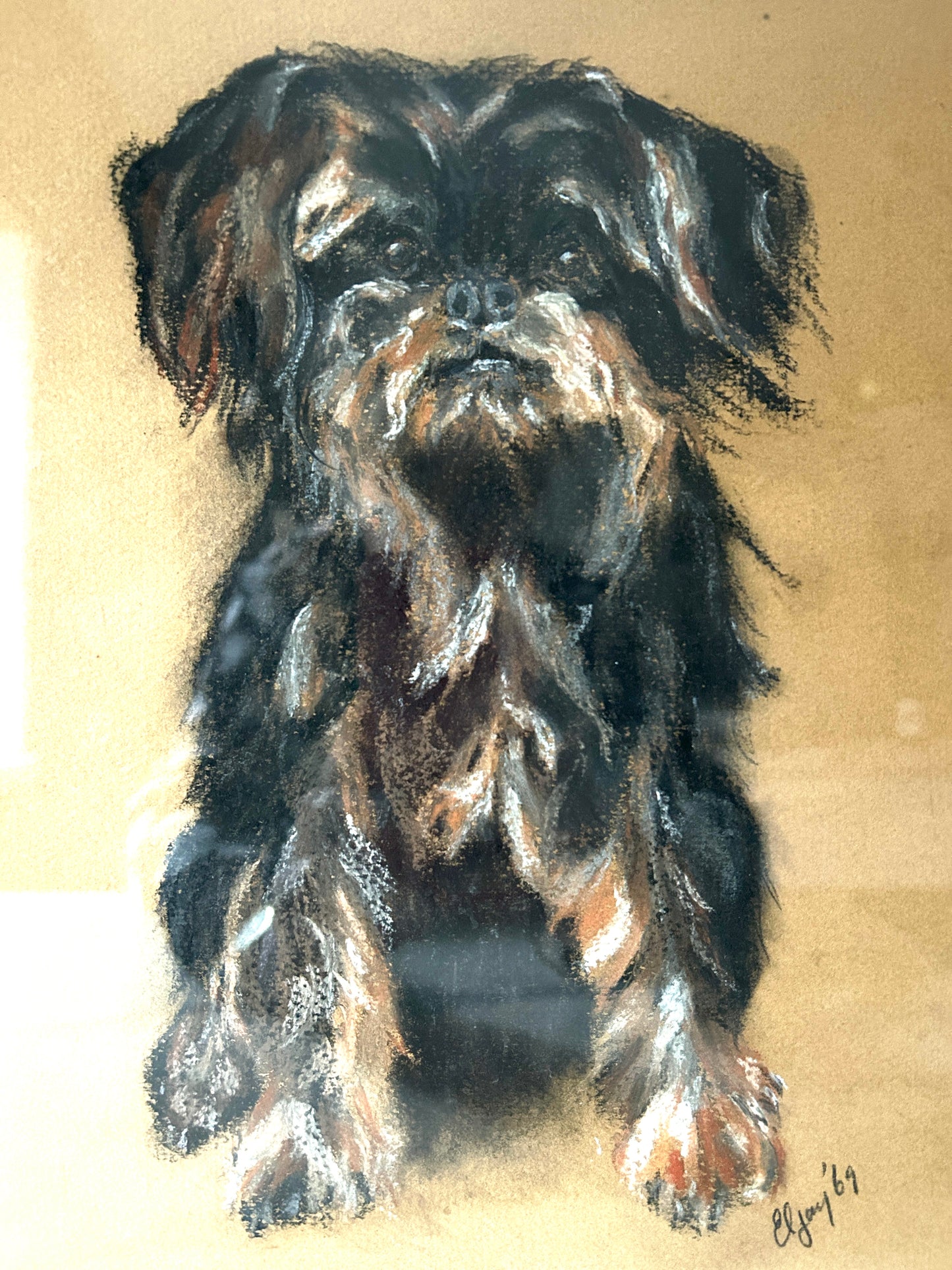 Mid century Portrait of a Yorkshire Terrier