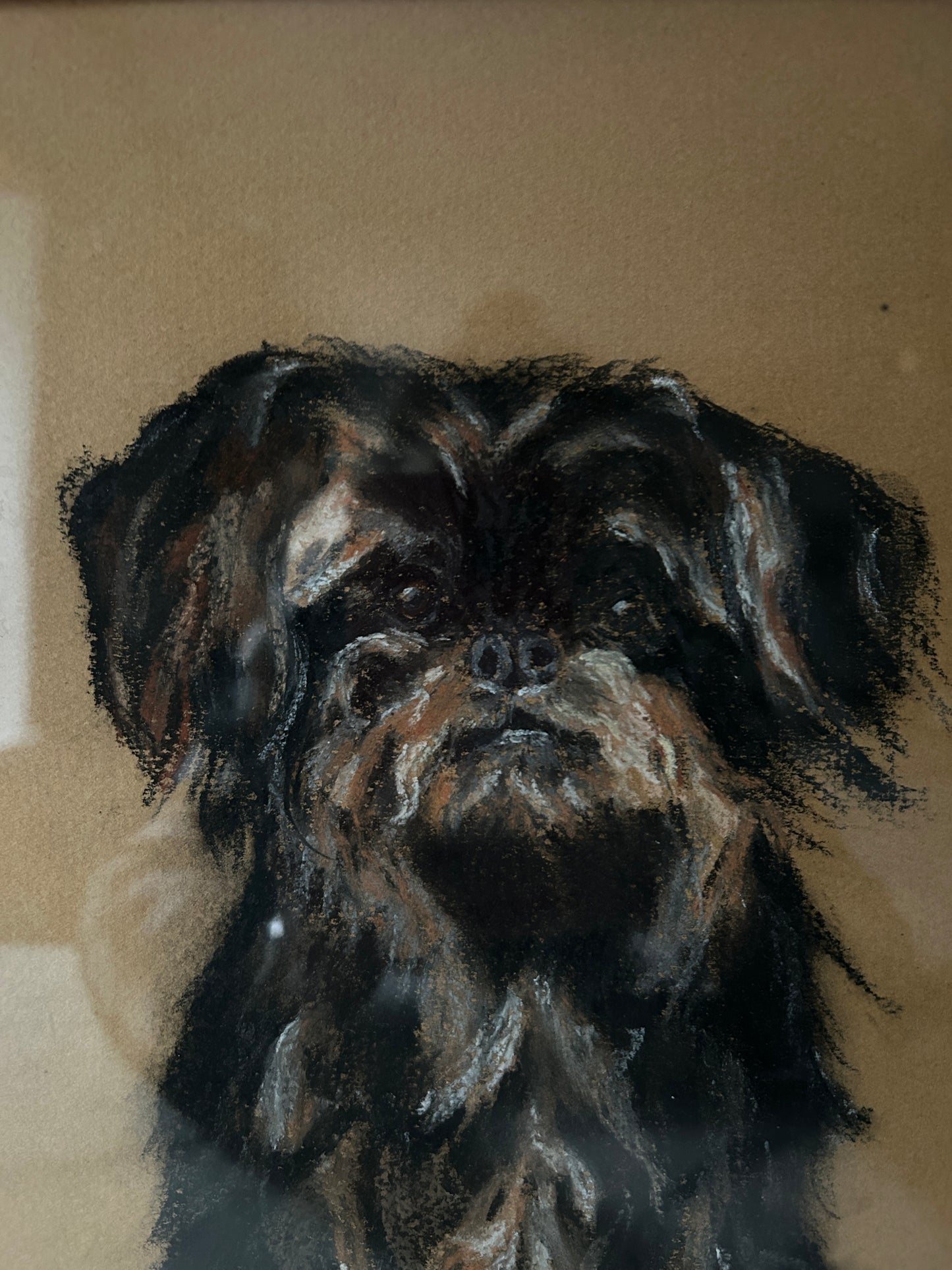 Mid century Portrait of a Yorkshire Terrier
