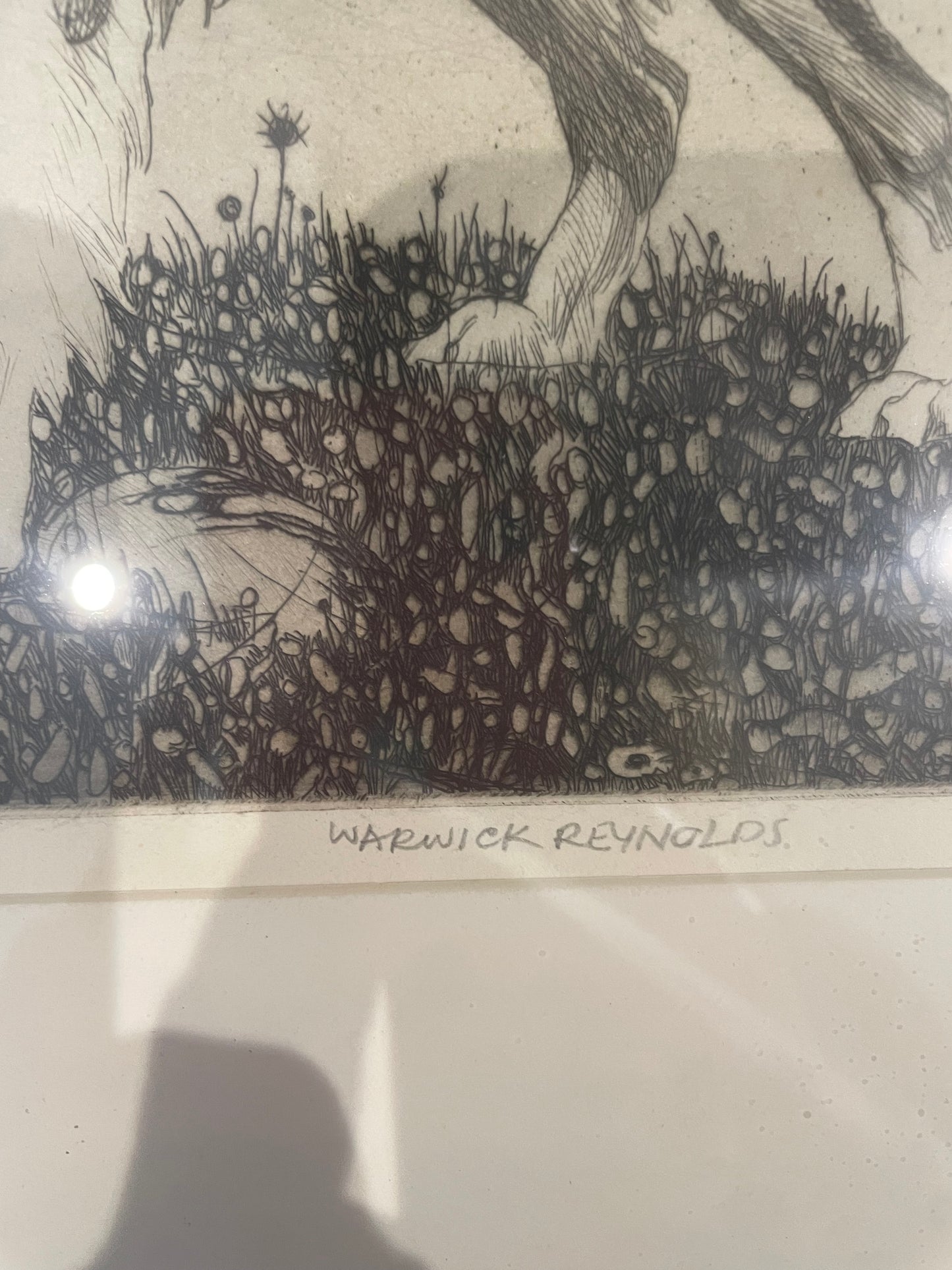 Warwick Reynolds 20thc LTD ETCHING SIGNED Dog Collie Lassie Illustration