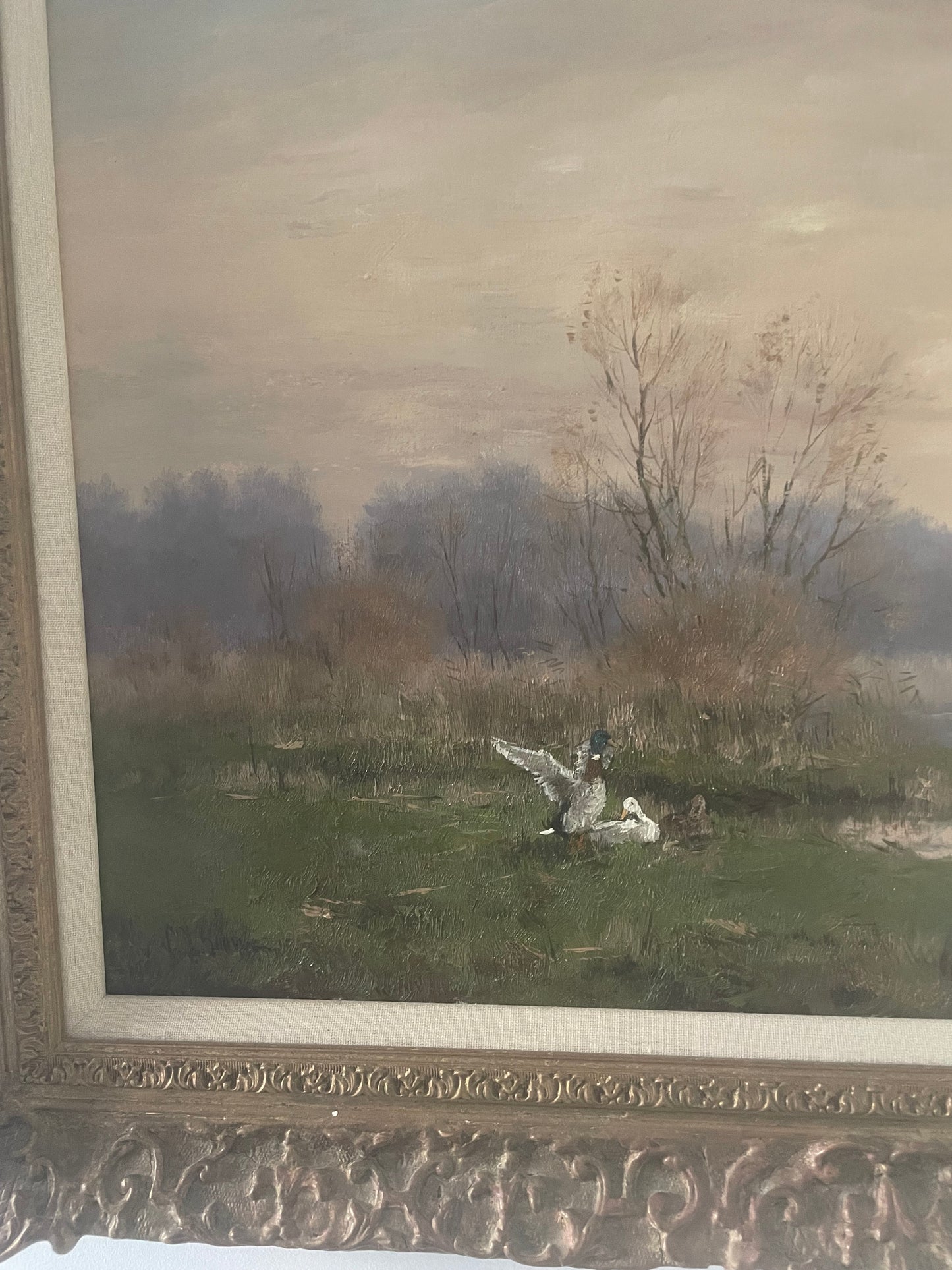 Anatre su un paesaggio lacustre