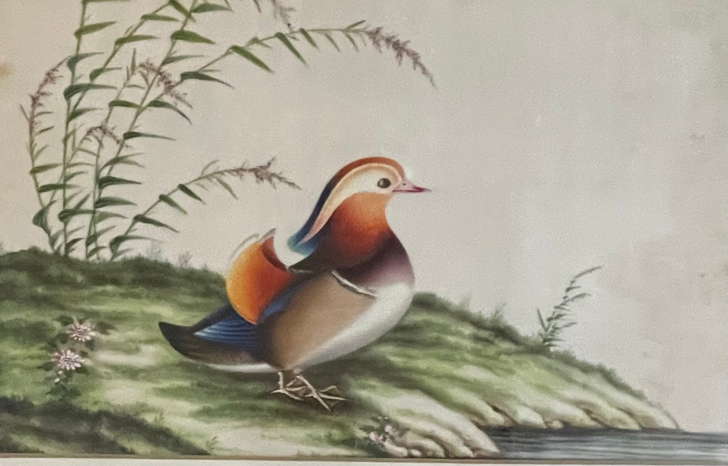 High quality 19th Century Chinese Rice (pith) Paper Painting c1860s