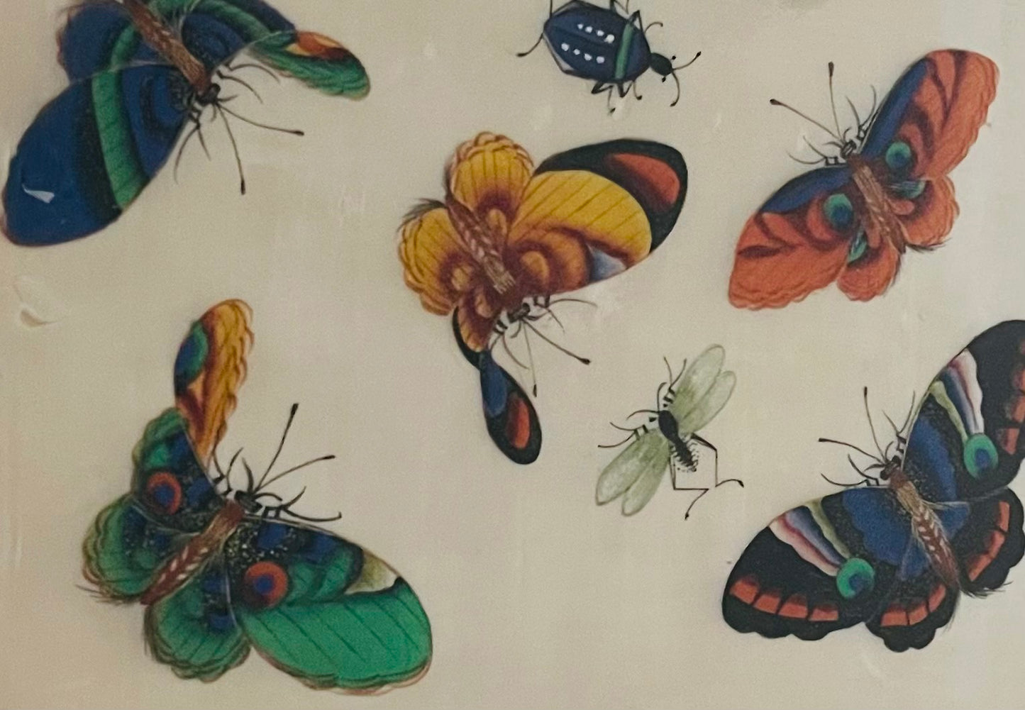 DIPINTO CINESE SU CARTA ALDO 1860 FARFALLA E INSETTI