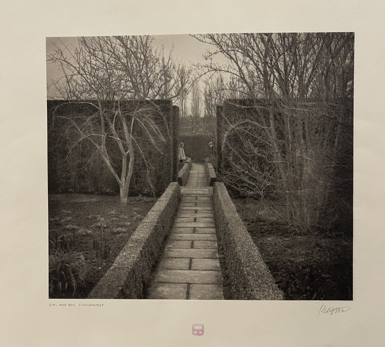 Beth Dow photograph From The English Garden Series c2003