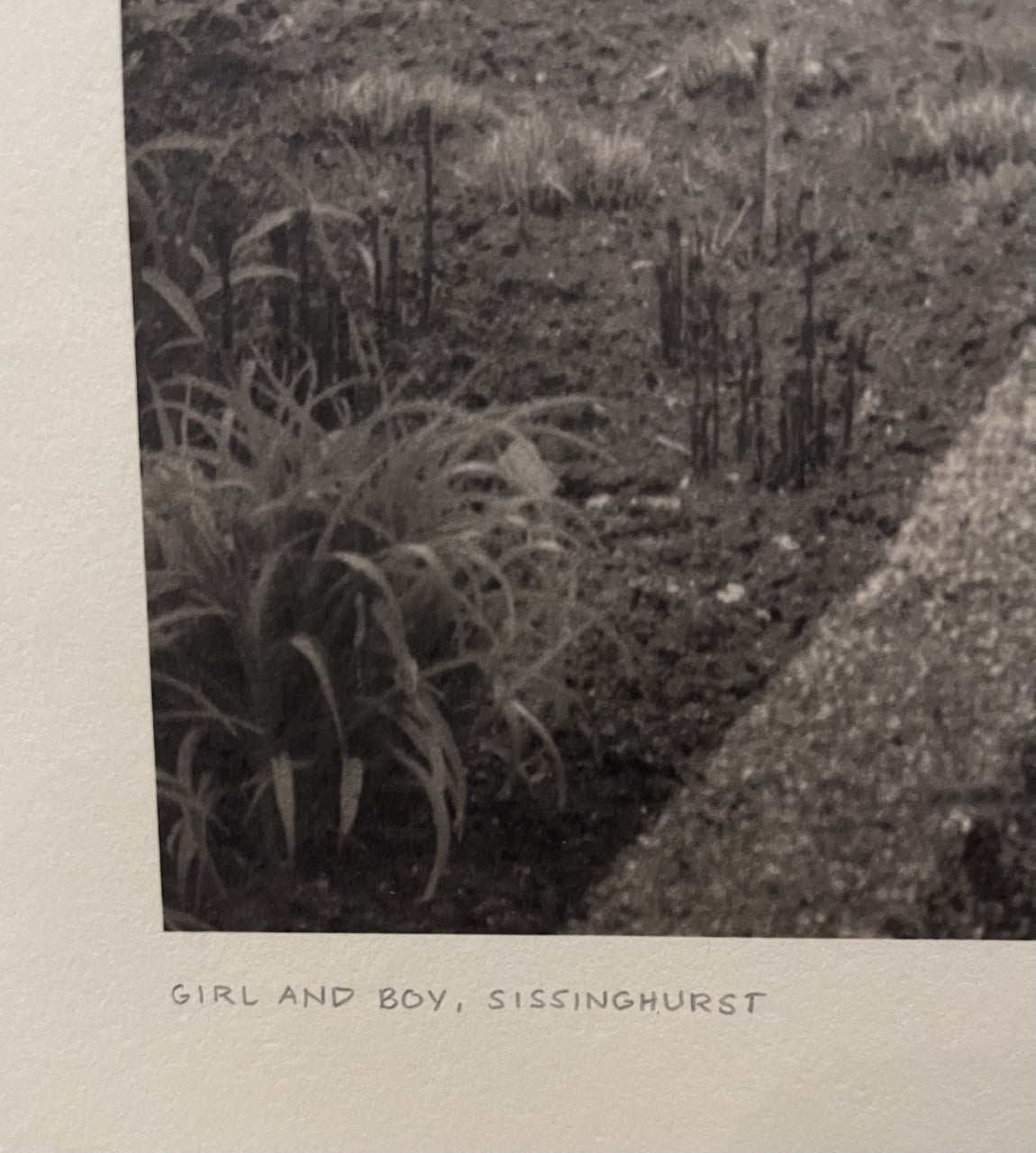 Beth Dow photograph From The English Garden Series c2003