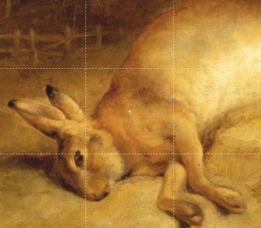 Trofeo Lepre Olio su tela splendidamente incorniciato.